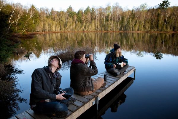 Wildlife Ecology