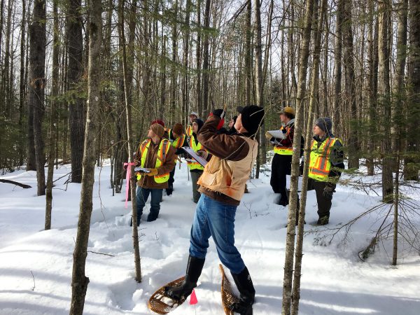 Forest Science