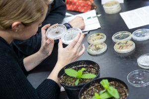 Plant Pathology