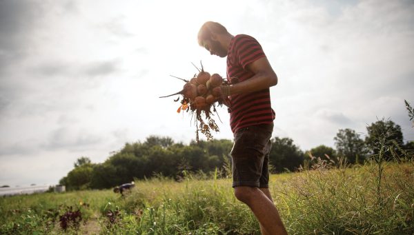 Food Systems