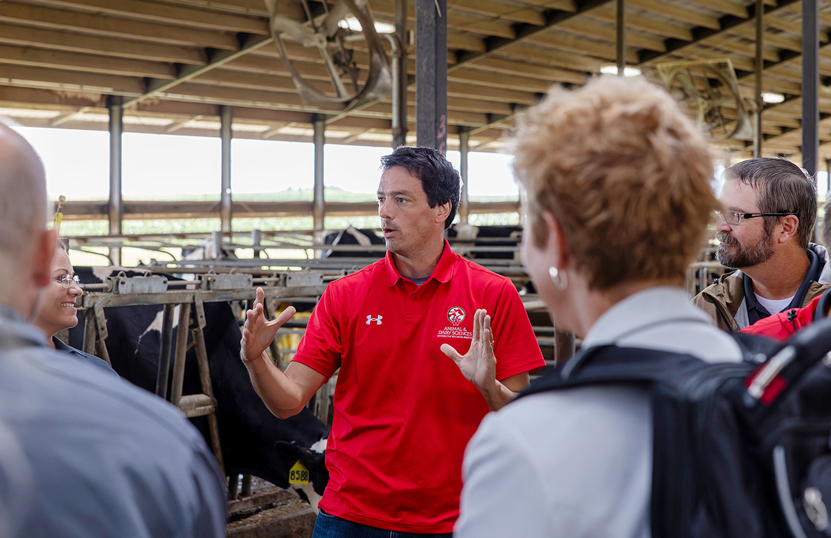 Francisco Peñagaricano in the Emmons Blaine Dairy Cattle Center, where research funded by the Green Cattle Initiative is being conducted. Photo by Ngyuen Tran