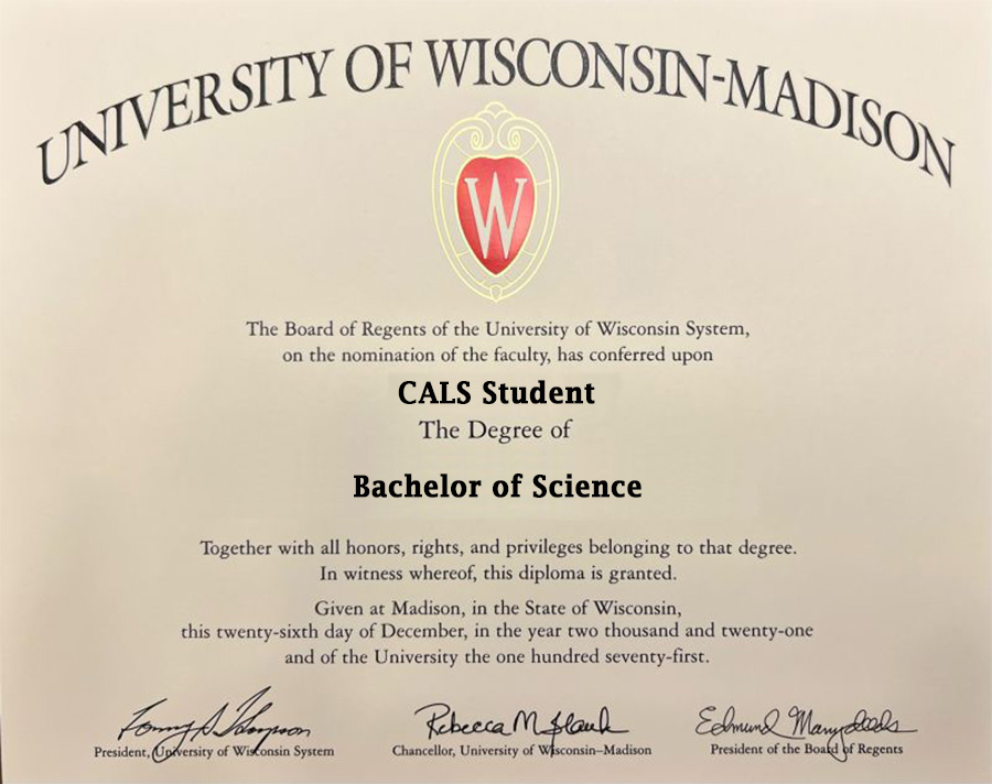 Image of a sample diploma