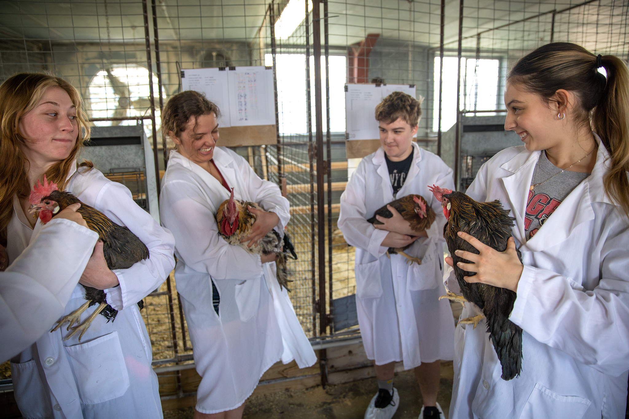 Four students are standing in the UW poultry lab wearing white lab coats and holding chickens in their hands