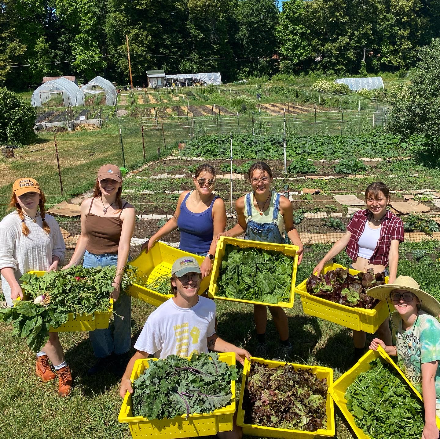 A group of six students are gathered outside holding big containers of leafy produce