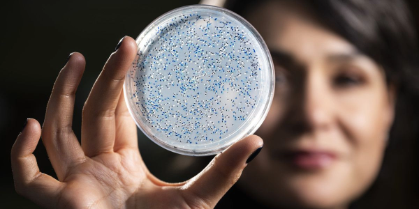 A woman with dark hair is holding up a petri dish and looking at it