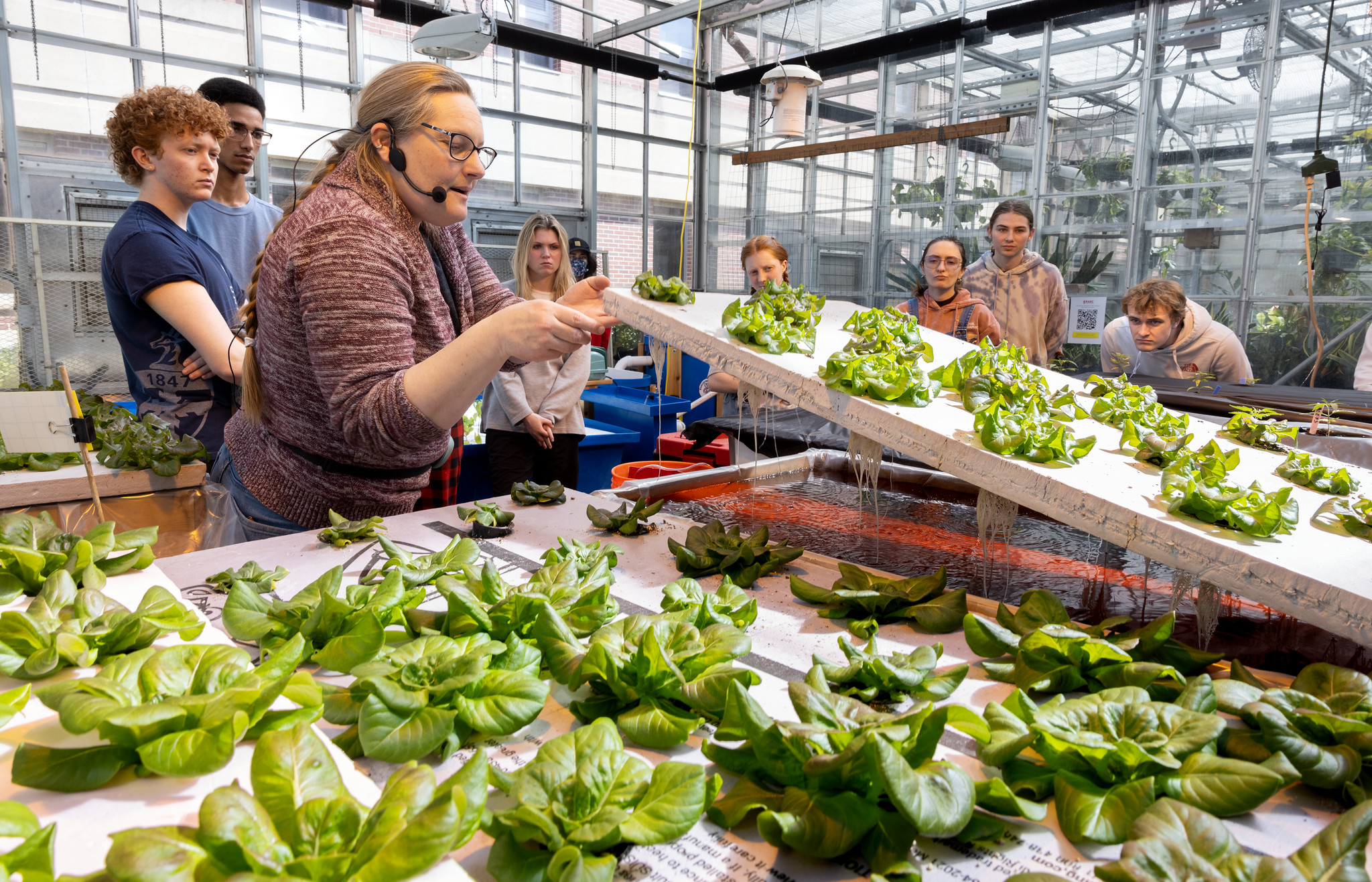 Students examine plants growing in a greenhouse