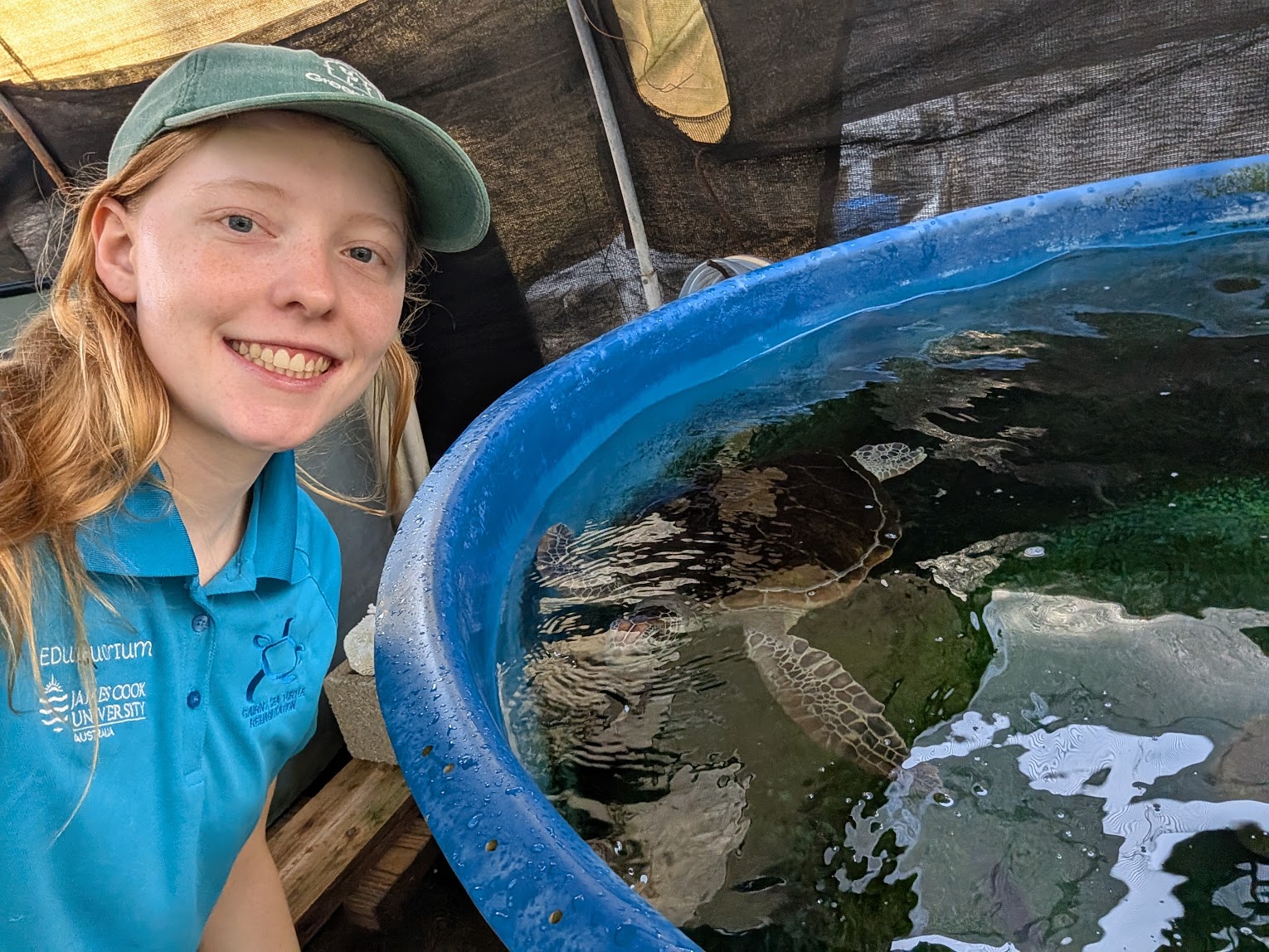 A student next to a sea turtle in a pool of water