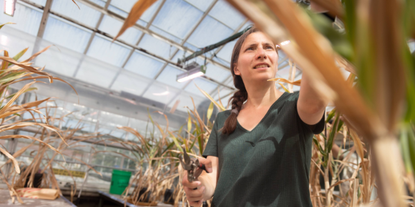 Rebecca Smith in a greenhouse