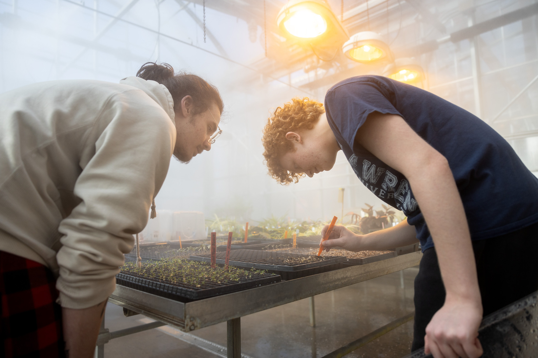 Two students investigate seedlings in a greenhouse