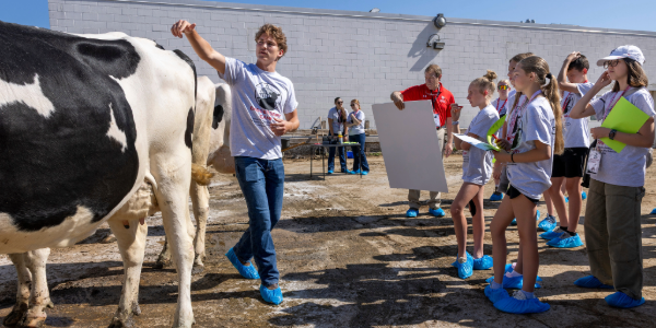 Attendees of Badger Dairy Camp list to a student as they talk about dairy cattle